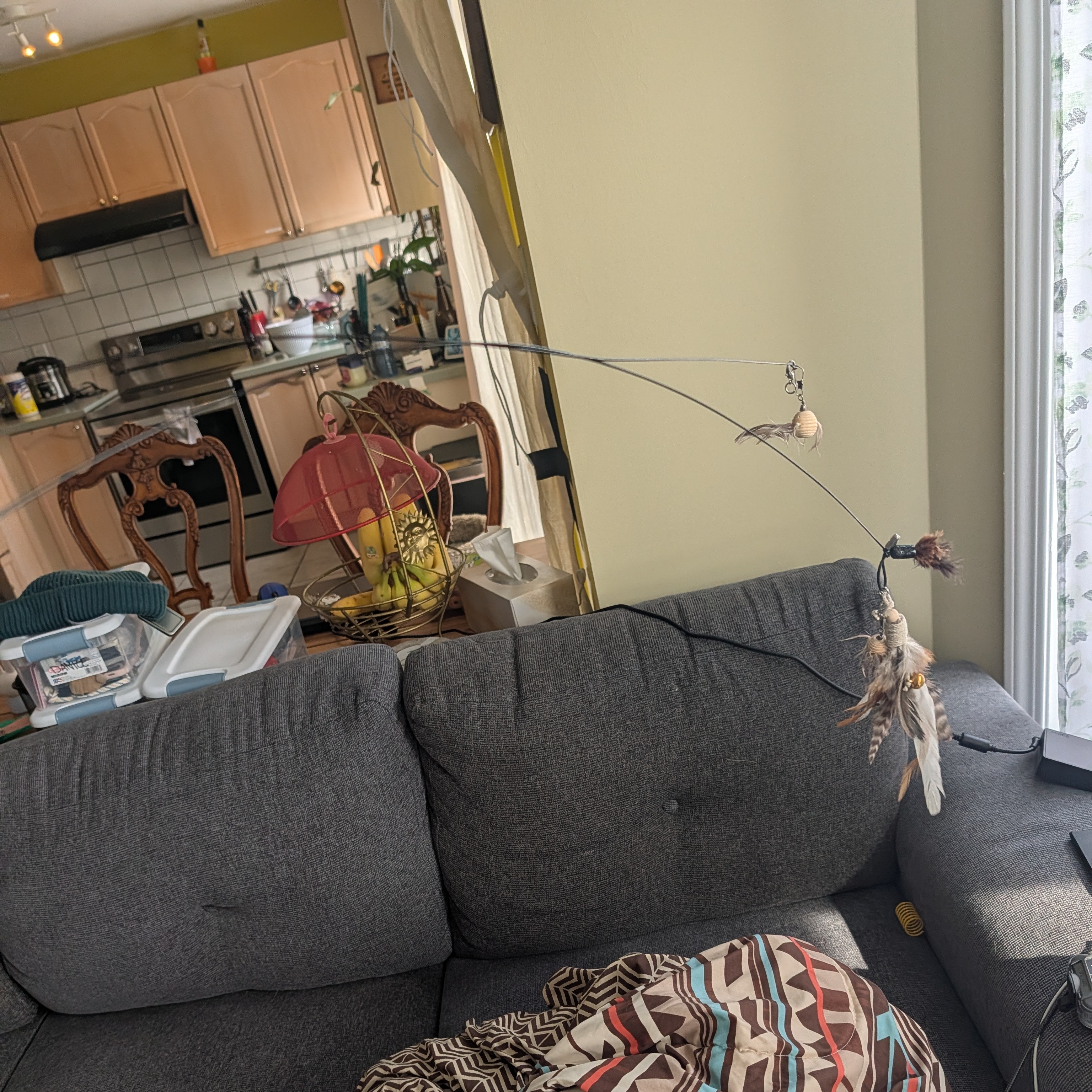 My cats own a lot of toys, some of them, like the one depicted above. They're very loud since there's several bells mixed in and the cats either go crazy for it, chasing after it and play fighting, gnawing on the feather attachments. <br><audio controls src='Noises/Cat toys jingling.m4a'></audio>